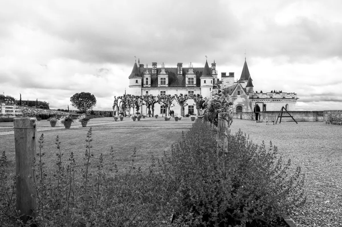 Paysage de vignobles et châteaux caractéristiques de la vallée de la Loire