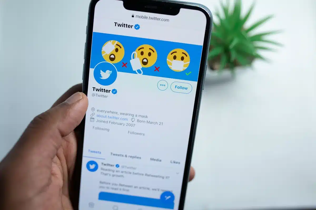 Réseau de comptes automatisés et profils coordonnés amplifiant des messages en ligne